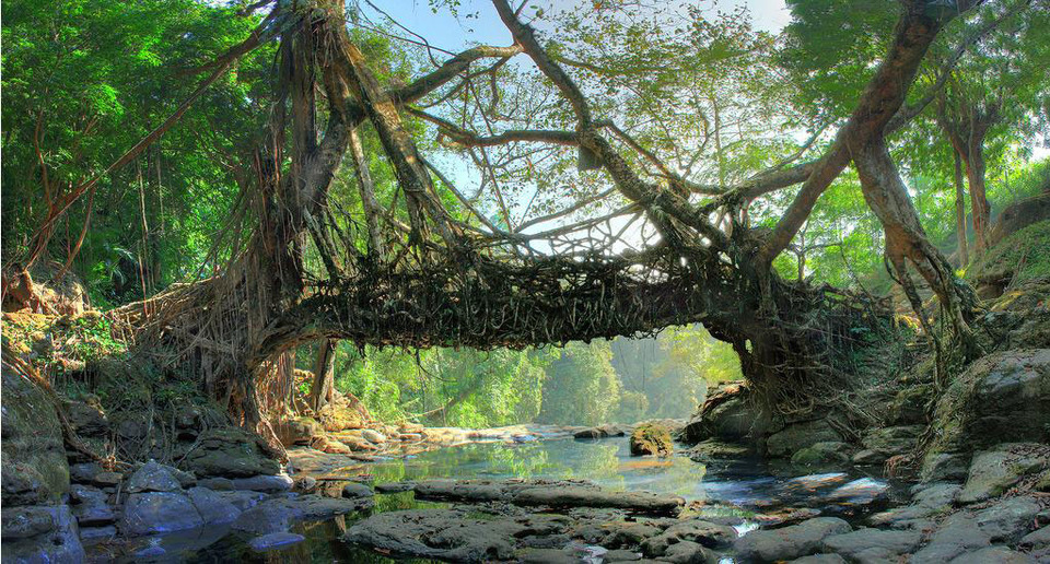 Meghalaya